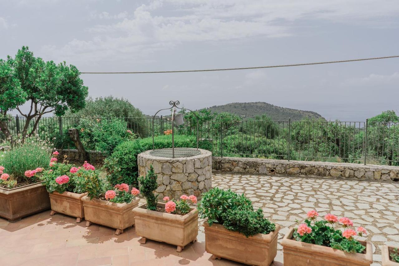 Hotel Relais Pian Delle Starze Marina di Camerota Zewnętrze zdjęcie